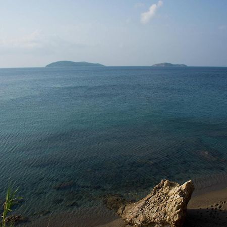 Aphrodite Skiathos Megali Ammos  Extérieur photo