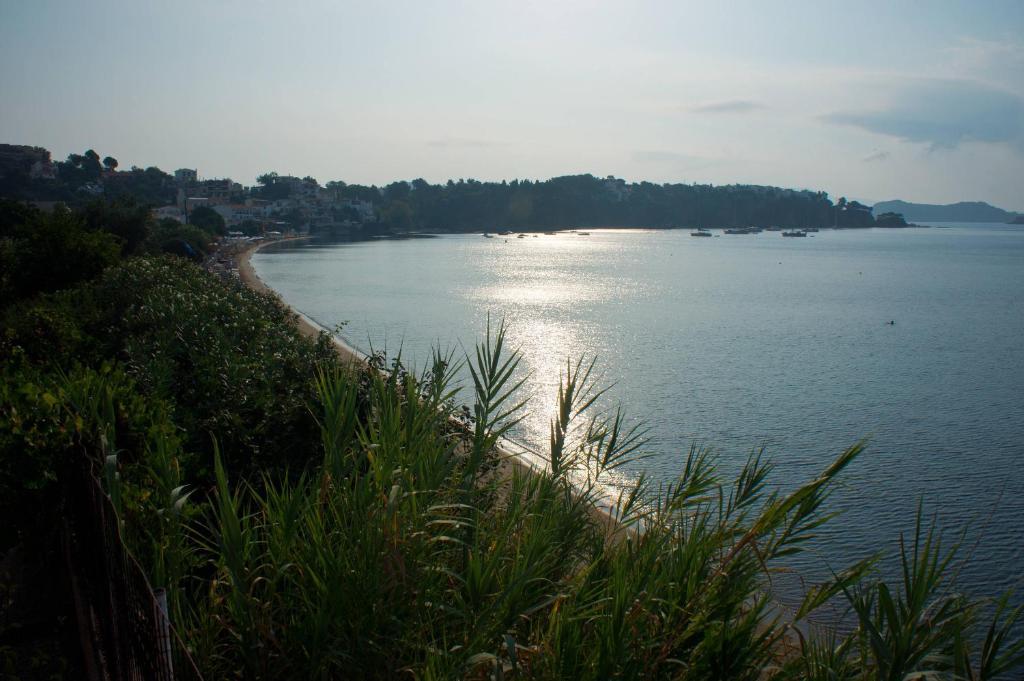 Aphrodite Skiathos Megali Ammos  Extérieur photo